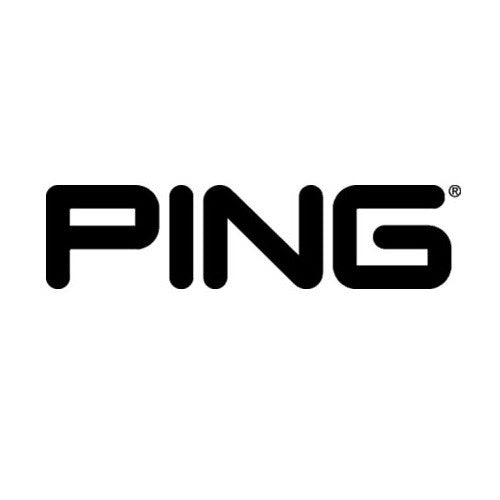 Ping Company Logo