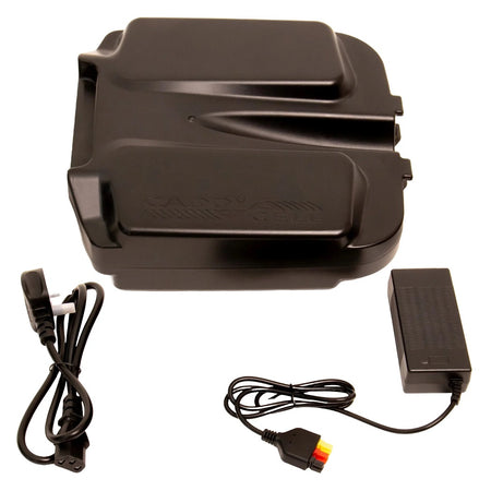 CaddyCell Plug-n-Go Lithium Battery & Charger